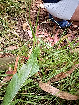 maxvergo online show from April 15, 9:37 pm