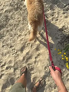 haramnarab online show from October 28, 12:37 pm