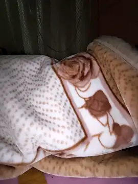 Snapshot of Shalu_G chatting on November 15, 1:20 am Shalu G online show from November 15, 1:20 am