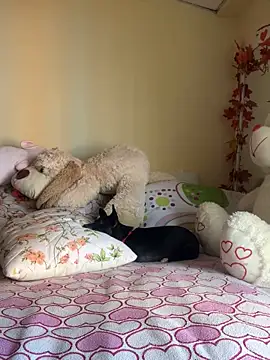 MiaRousexxx  online show from November 26, 8:31 pm