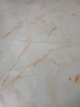 Samantaapu online show from November 16, 2:00 pm