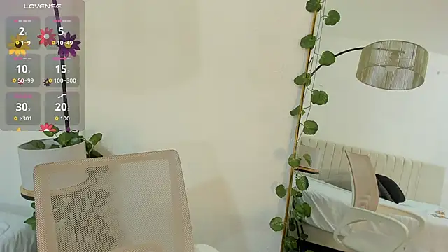  shaiira online show from November 13, 1:04 pm