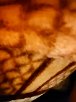 monty935 online show from December 22, 6:19 pm