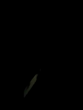 monty935 online show from November 30, 1:23 pm