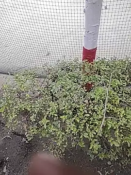 monty935 online show from December 4, 11:42 am