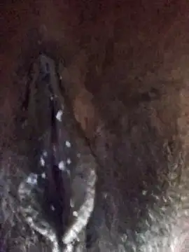 xnmx26 online show from March 29, 2:57 am