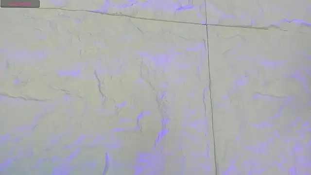 Snapshot of CarolineLee_ chatting on February 11, 10:42 pm CarolineLee online show from February 11, 10:42 pm