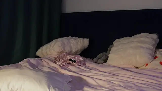 Snapshot of cuteleraay chatting on February 6, 9:55 pm cuteleraay online show from February 6, 9:55 pm