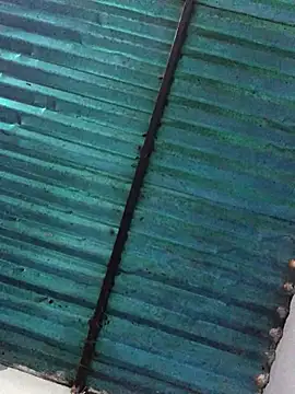 veronica and bryan online show from September 14, 3:51 am