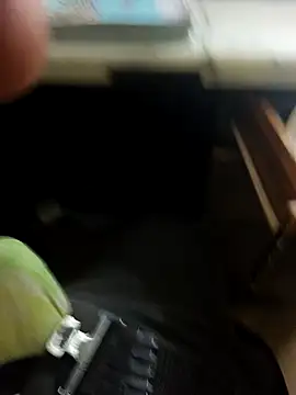 Snapshot of hotboy43339 chatting on February 8, 5:05 am hotboy43339 online show from February 8, 5:05 am