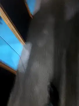 hotboy43339 online show from March 1, 3:06 am