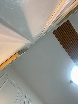 Snapshot of LanySylvia chatting on January 13, 2:10 pm LanySylvia online show from January 13, 2:10 pm