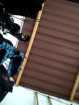 Snapshot of damian_bull chatting on November 24, 9:15 pm damian bull online show from November 24, 9:15 pm