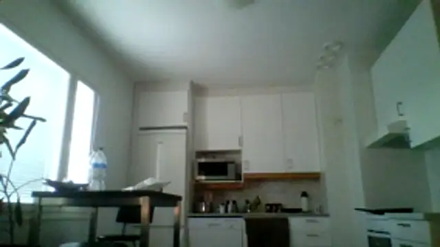 Snapshot of Silverhippo chatting on May 20, 6:16 pm Silverhippo online show from May 20, 6:16 pm