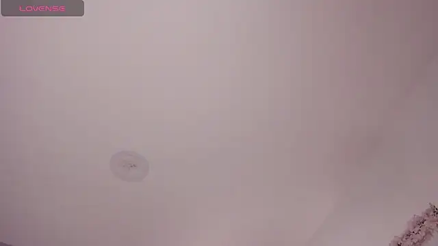 Snapshot of Laureen_se chatting on February 3, 2:53 am Laureen se online show from February 3, 2:53 am