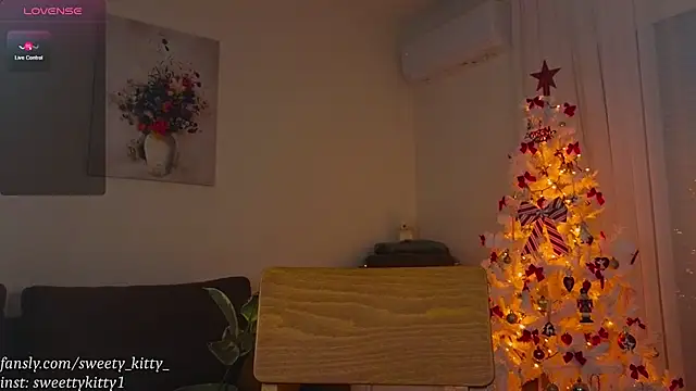 Snapshot of sweettykitty chatting on December 15, 2:34 pm sweettykitty online show from December 15, 2:34 pm