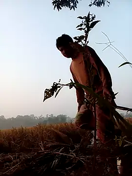 Johlrd online show from November 23, 12:53 am