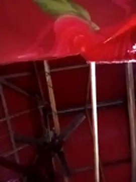 Johlrd online show from November 4, 11:19 pm