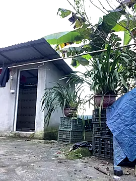 Huong-Ly online show from October 5, 1:46 pm