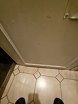 Stingles online show from October 18, 3:41 am