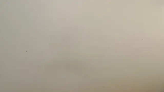 Blackberry96  online show from November 17, 9:24 am