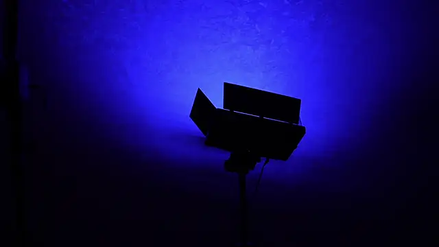 Stella Vanila online show from November 1, 11:15 am