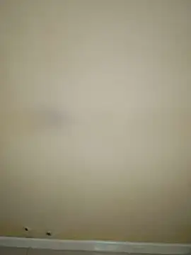 estefymariam88 online show from November 29, 7:52 am