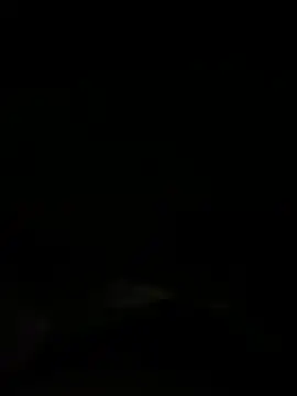 Snapshot of Dora__baby chatting on November 19, 12:05 pm Dora baby online show from November 19, 12:05 pm