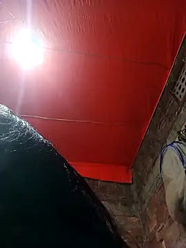 BOBITA 1 online show from December 20, 6:33 pm