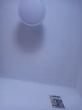 gigolobcn online show from March 12, 6:34 pm