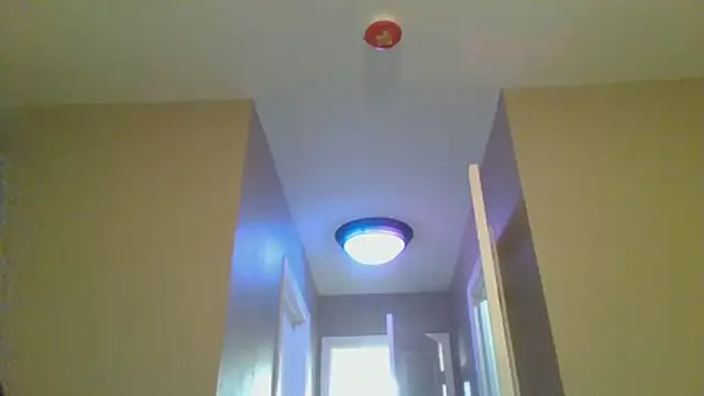 LeeCox online show from January 10, 10:43 am