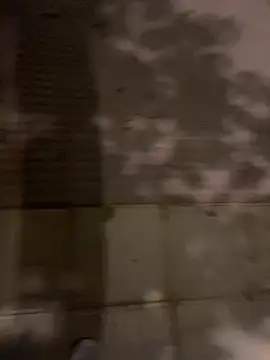 Wild2XXX online show from October 21, 11:26 pm