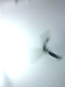 Kehar punjaban online show from September 28, 7:37 am