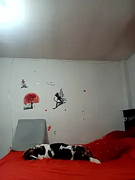 Lady 16 online show from January 6, 1:53 am