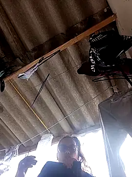 Lady 16 online show from November 8, 4:54 pm