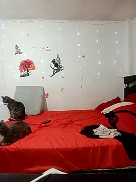 Lady 16 online show from February 17, 1:58 am