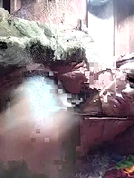 Snapshot of PhamPm70 chatting on November 22, 10:41 pm PhamPm70 online show from November 22, 10:41 pm