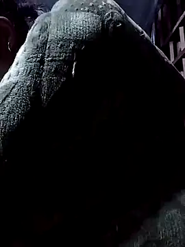 Snapshot of PhamPm70 chatting on November 17, 11:58 am PhamPm70 online show from November 17, 11:58 am