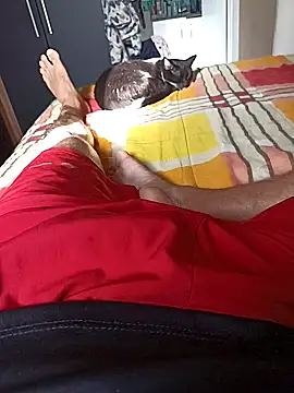 comobucetinhas online show from November 14, 7:28 pm