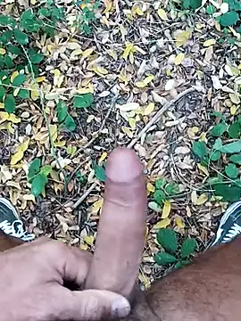 pegaso369 online show from October 22, 1:43 pm