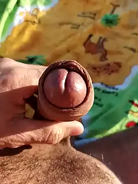 pegaso369 online show from November 3, 2:53 pm