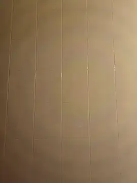 pegaso369 online show from December 16, 6:56 pm