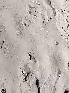 pegaso369 online show from March 28, 11:11 am