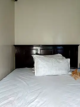 Nedambale online show from February 14, 12:38 pm