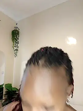 Nedambale online show from February 24, 10:16 am