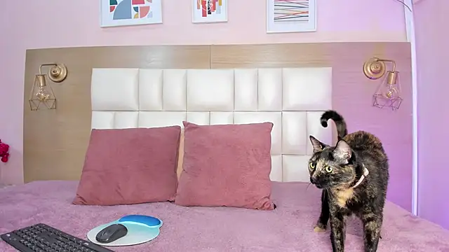 Snapshot of sofiagomez__ chatting on October 8, 7:25 pm sofiagomez online show from October 8, 7:25 pm