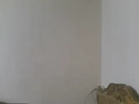 elpoop7305 online show from March 15, 8:49 pm