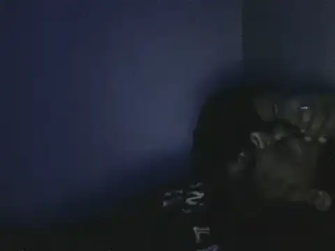 elpoop7305 online show from October 19, 12:57 am