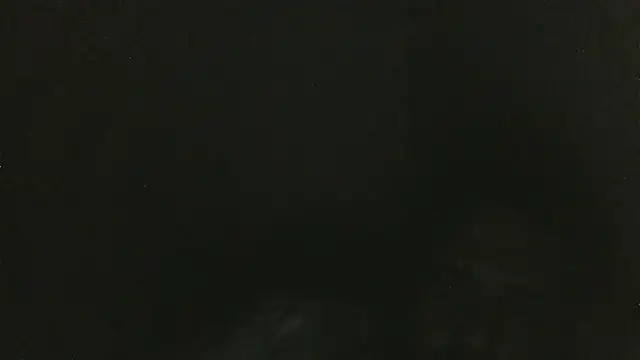elpoop7305 online show from March 30, 2:13 am
