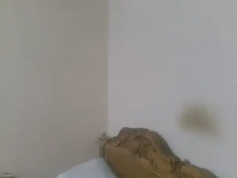 elpoop7305 online show from May 8, 10:02 pm